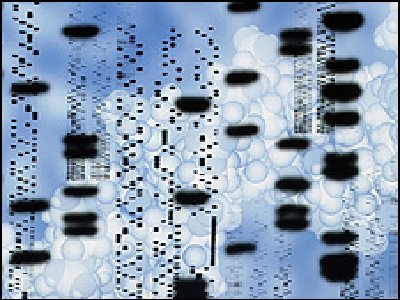 Una marca genética única entre animales y plantas