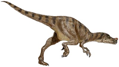Proceratosaurus