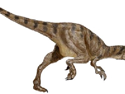El familiar más antiguo del Tiranosaurio Rex.