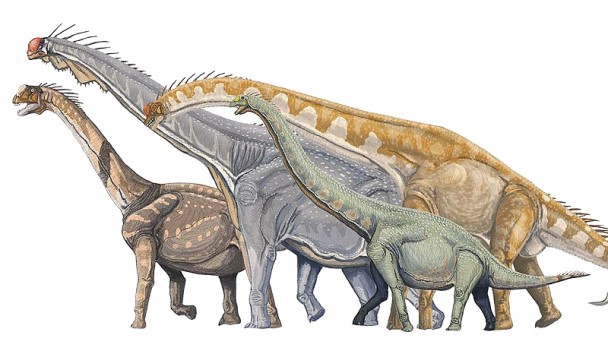 Sauropodomorpha