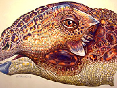 Hallan el dinosaurio equivalente a un 