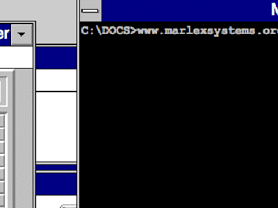 Prueba Windows 3.1 Online