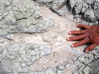 Más de 3.000 huellas dejaron los dinosaurios en China