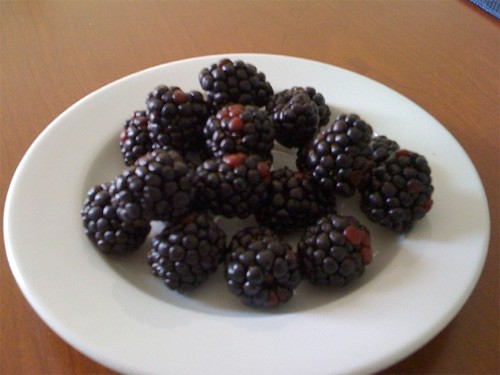 Blackberry
