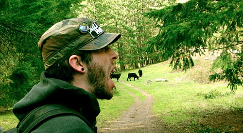 Comiendo una vaca entera de un bocado