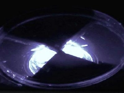 Científicos crean moscas que pueden oler la luz