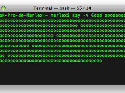 Haz cantar a la Terminal de tu Mac OS X con Snow Leopard