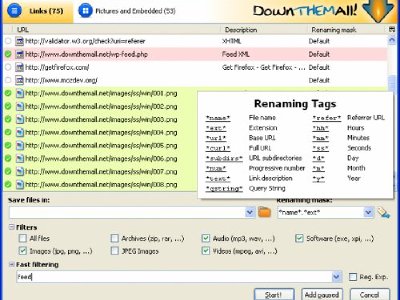 DownThemAll, gestor de descargas para Firefox