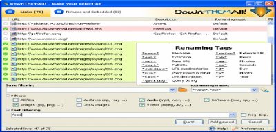DownThemAll, gestor de descargas para Firefox
