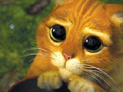 Como colocar un video como fondo de escritorio