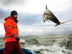 delfin-hombre