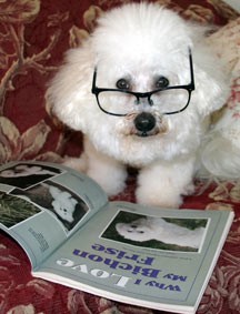 inteligencia animal