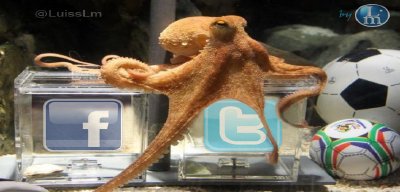 Twitter le gana a Facebook, según el pulpo Paul