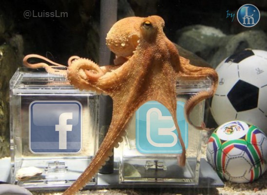 Imagen del Pulpo Paul con Twitter