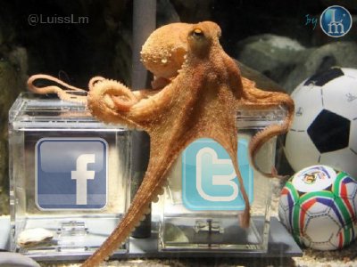 Twitter le gana a Facebook, según el pulpo Paul