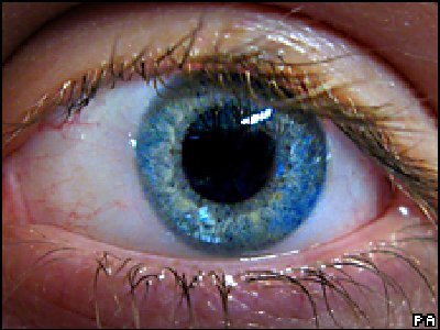 Córnea artificial logra mejorar la visión