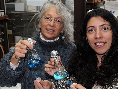 Jaula para hongos permite limpiar basura química