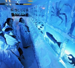 Acuario Hielo
