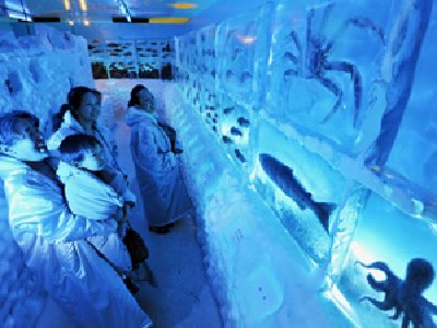 Acuario marino de hielo