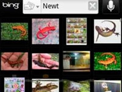 Bing lanza aplicación para Android