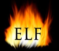 Everlasting Flame Blackberry Descargar