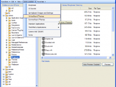 iPhone Browser, utiliza tu iPhone como disco duro
