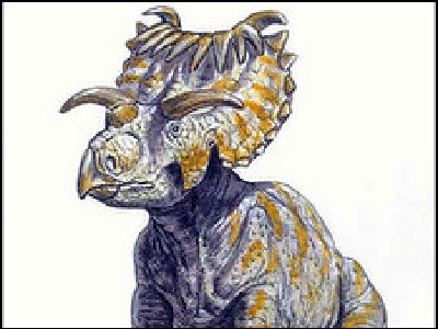 15 cuernos tenía el dinosaurio que se encontró en Utah