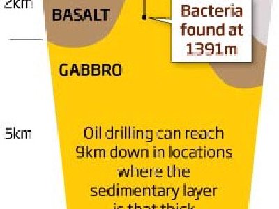Capa más profunda de la corteza terrestre alberga vida