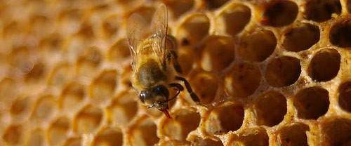 Android 2.3 Honeycomb