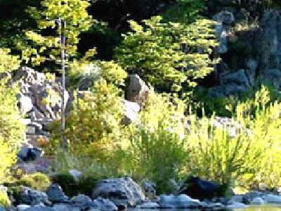 Concurso: Nokia Chile y MarlexSystems te regalan un Nokia N8 #buscatun8