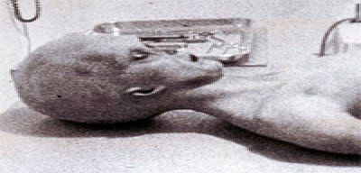 El FBI hace público un memo acerca de la existencia de extraterrestres en Roswell