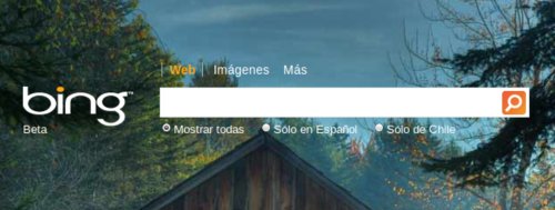 Bing