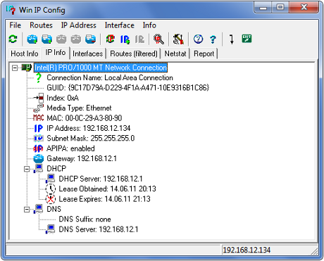 Interfaz gráfica de Win IP Config