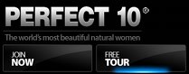Imagen de Perfect 10