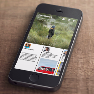 Facebook paper