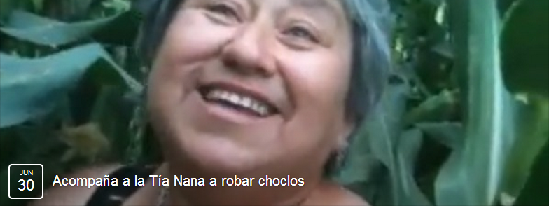 Choclo