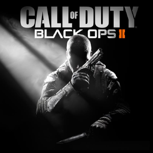 Call-of-Duty-Black-Ops-2-poster