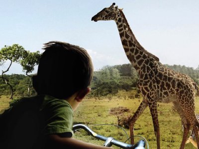El zoológico sin jaulas que abrirá sus puertas en 2019