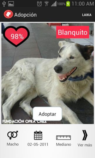 Imagen de la aplicación Laika