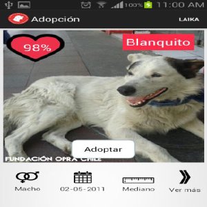 App chilena gana el Torneo Internacional Universitario de Aplicaciones Móviles
