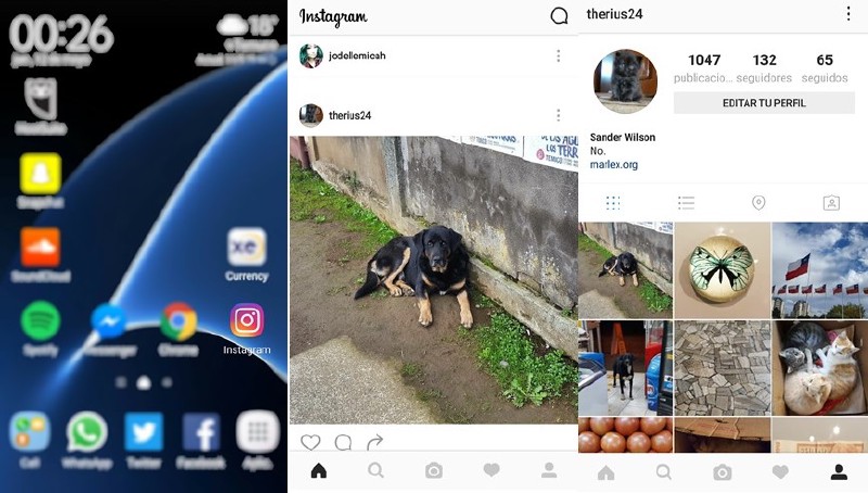 Instagram app interior