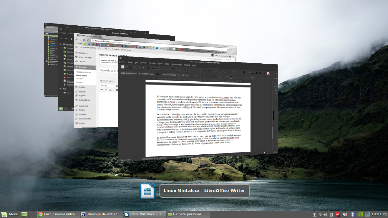 linux-mint 8